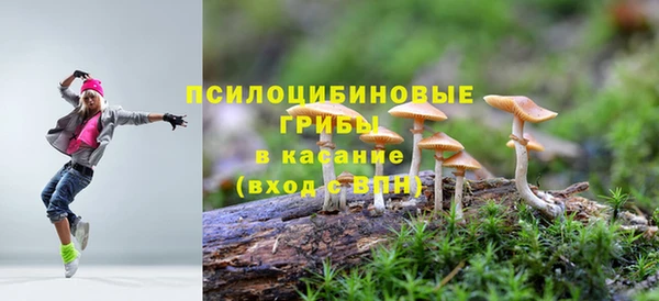spice Абдулино